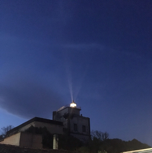 Il Faro Sera